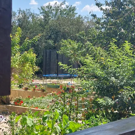 хейла * Voditsa