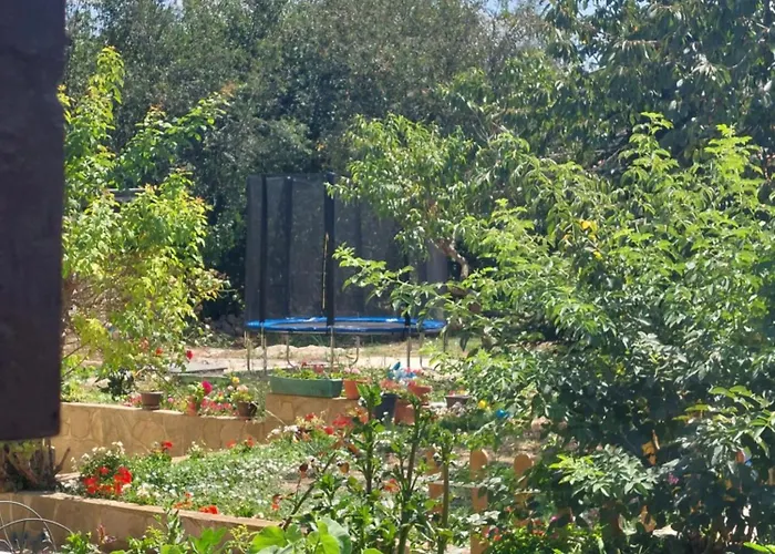 хейла * Voditsa